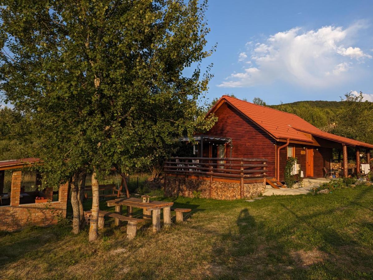Cabana Nyiko Cu Ciubar Villa Lupeni  Exterior foto