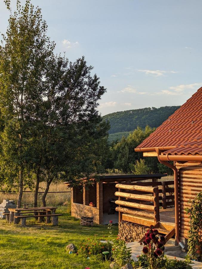 Cabana Nyiko Cu Ciubar Villa Lupeni  Exterior foto