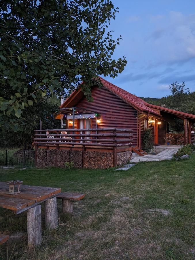 Cabana Nyiko Cu Ciubar Villa Lupeni  Exterior foto