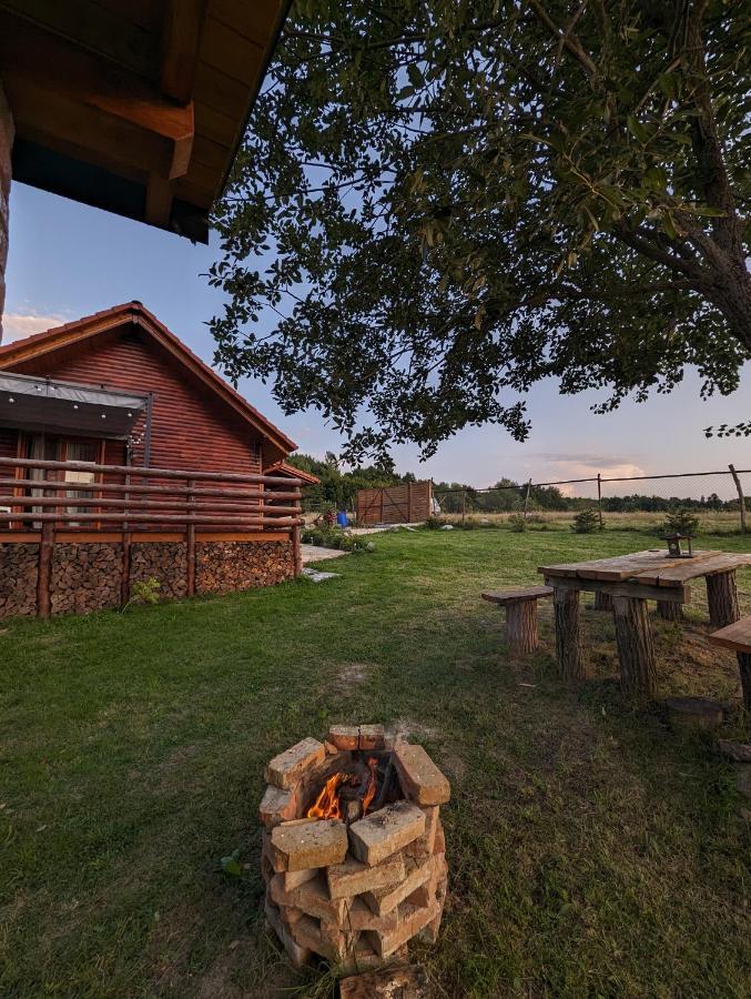 Cabana Nyiko Cu Ciubar Villa Lupeni  Exterior foto
